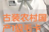 国产一级毛卡片免费,揭秘国内毛片产业现状与未来趋势